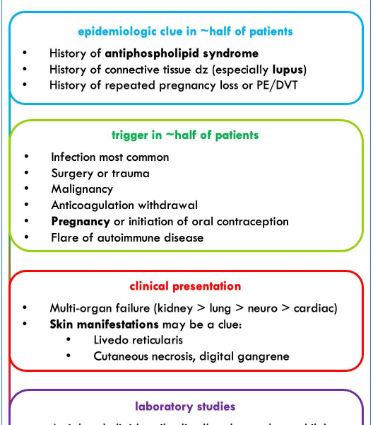 Antiphospholipid syndrome &#8211; symptoms, treatment. Catastrophic antiphospholipid syndrome