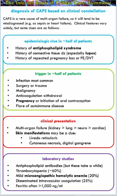 Antiphospholipid syndrome &#8211; symptoms, treatment. Catastrophic antiphospholipid syndrome