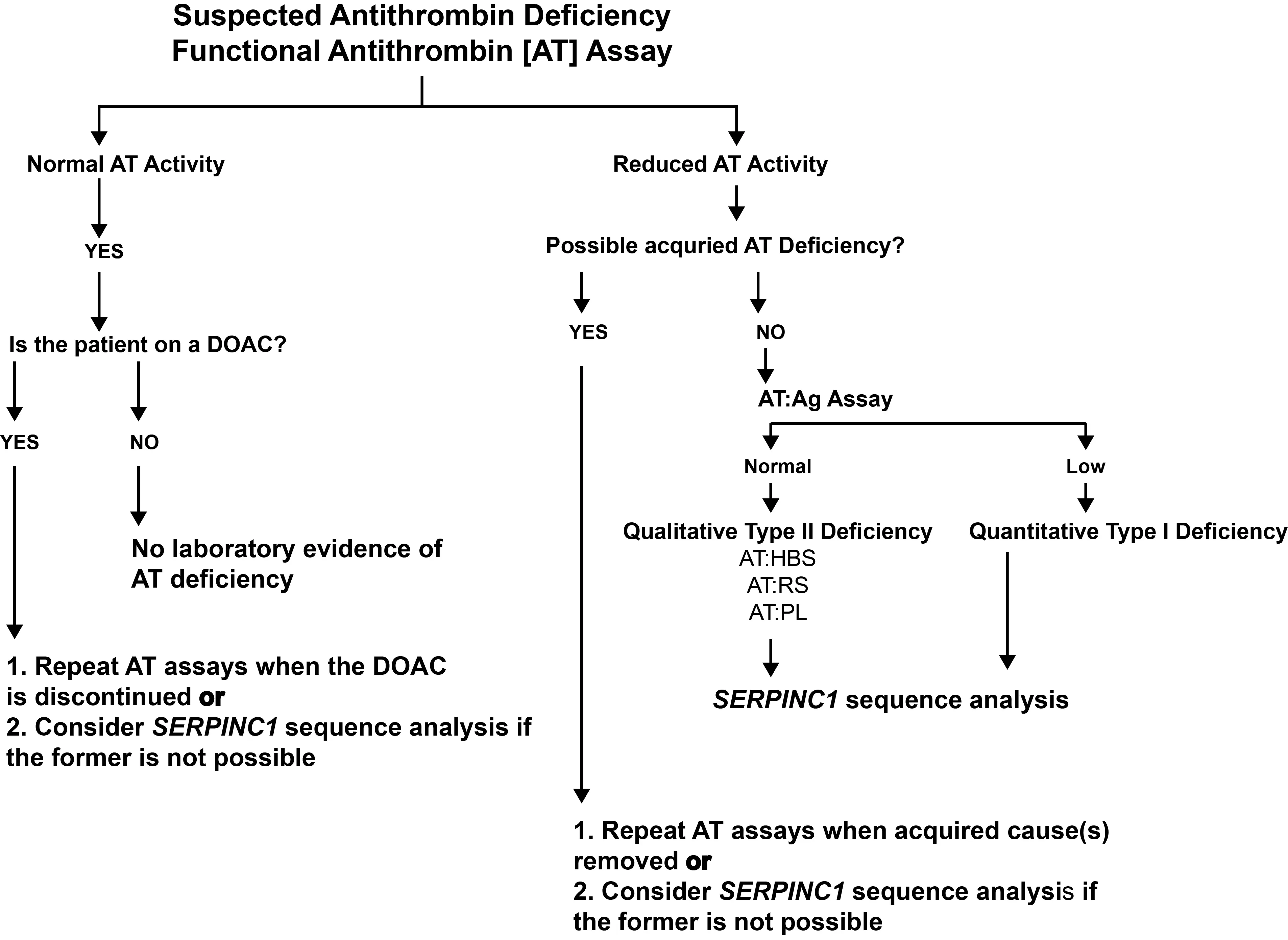 Antithrombin &#8211; when to check its activity and concentration?