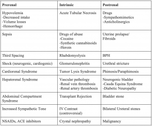 Anuria &#8211; causes, symptoms and treatment of anuria