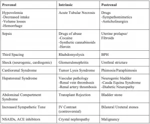 Anuria &#8211; causes, symptoms and treatment of anuria