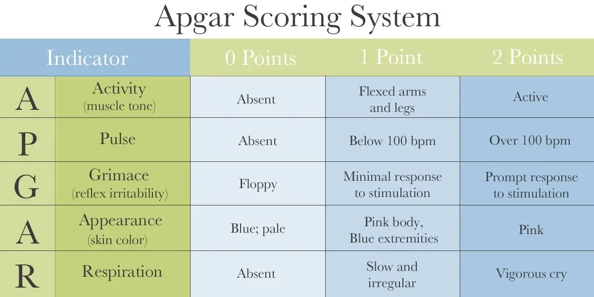 Apgar Scale &#8211; Newborn Health Assessment. What are the scale parameters?