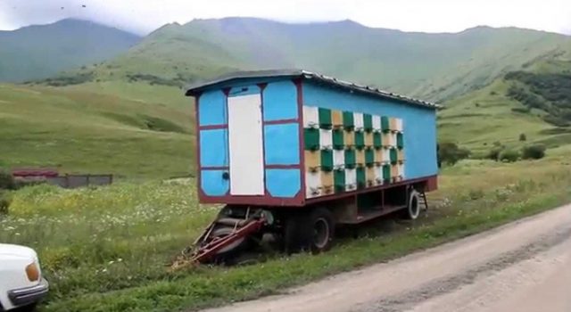 Apiary on wheels