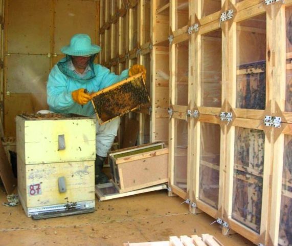 Apiary on wheels