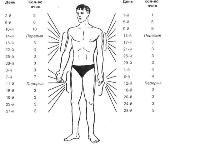 Apitherapy: what is it, indications for use