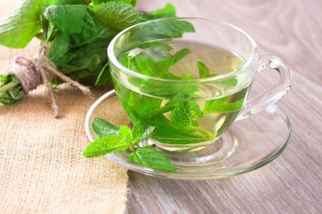 Apple mint: description, reviews, photos, useful properties and contraindications