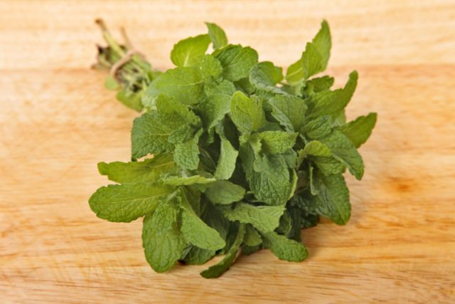 Apple mint: description, reviews, photos, useful properties and contraindications