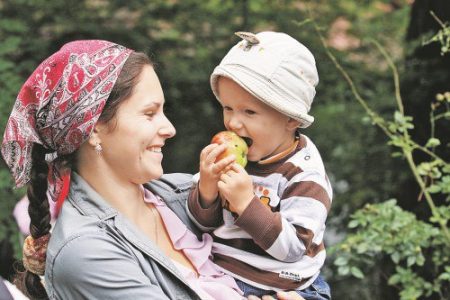 Apple tree Belarusian sweet: the secrets of growing