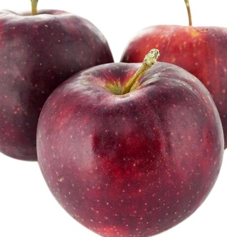 Apple tree Black Prince: variety description, photos, reviews in the suburbs