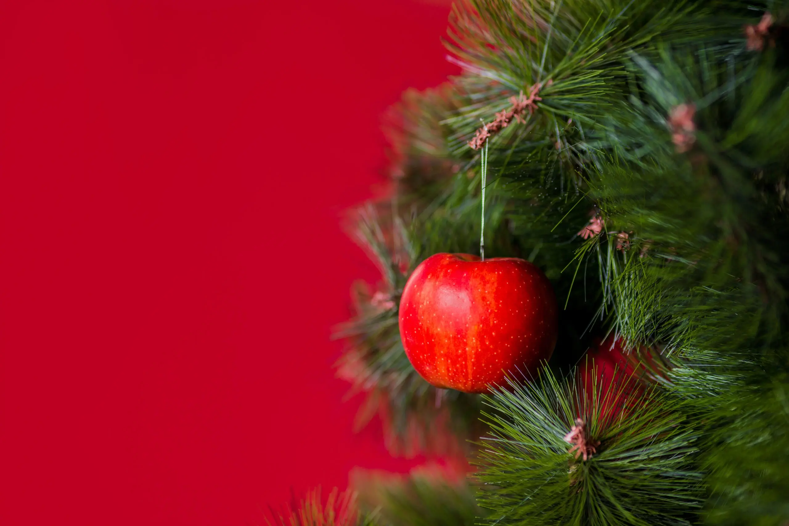 Apple tree Christmas