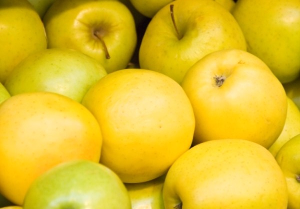 Apple tree Golden Delicious: description and advantages of the variety