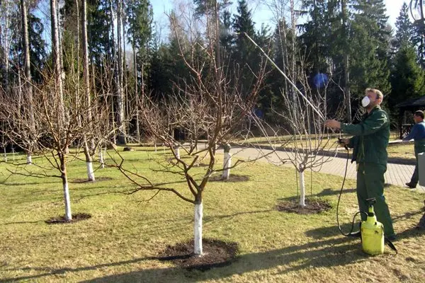 Apple tree Grushovka Moscow: description, characteristics, yield