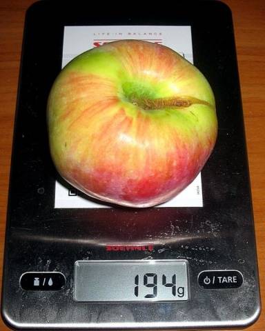 Apple tree Melba red: description, photo, planting and care