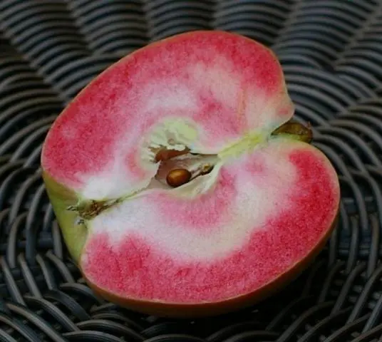 Apple Tree Pink Pearl: description, photo, reviews