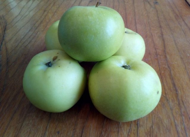 Apple tree Pobeda (Chernenko): description, photo, pros and cons, reviews of gardeners