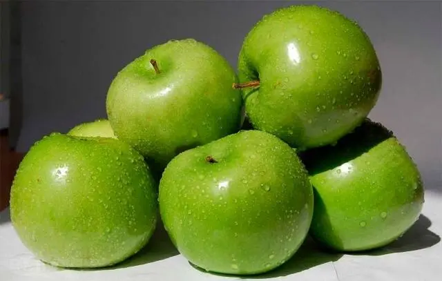 Apple tree Semerenko