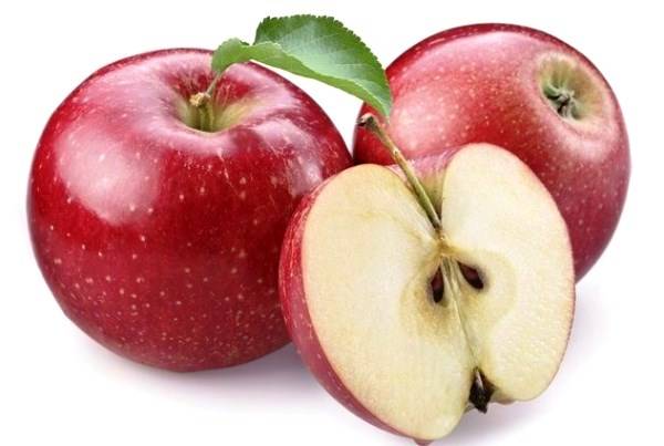 Apple-tree varieties Glory to the Winners