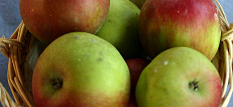 Apple variety Idared: description, characteristics, advantages