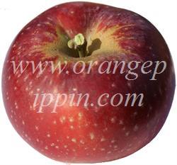 Apple variety Lobo: photo and description of the variety