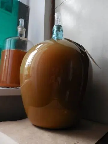 Apple wine at home