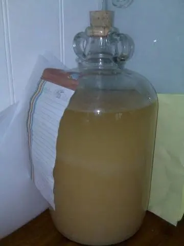 Apple wine at home