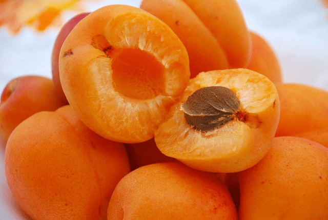 Apricot Aquarius