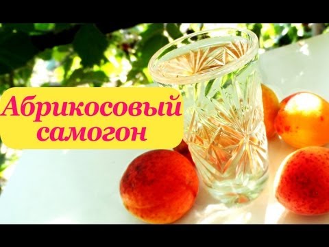 apricot chacha recipe