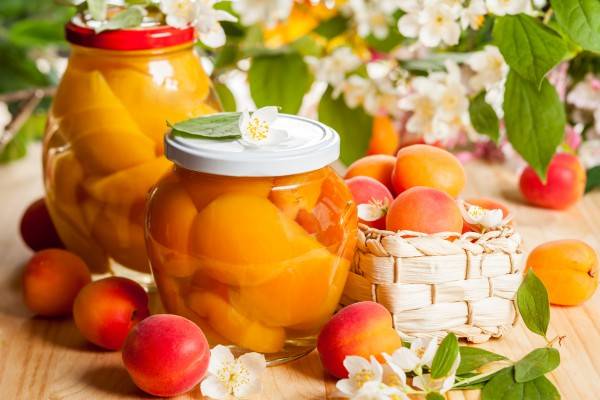 Apricot compote recipes