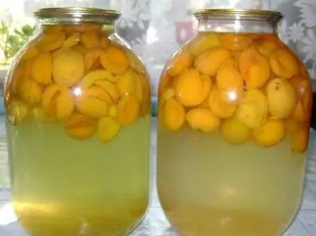 Apricot compote recipes