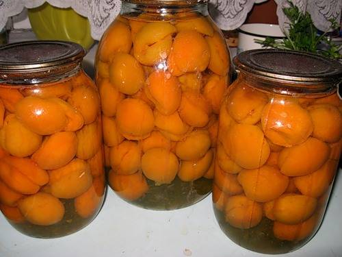 Apricot compote recipes