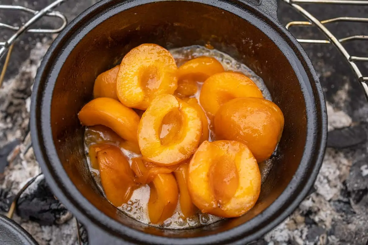 Apricot compote recipes