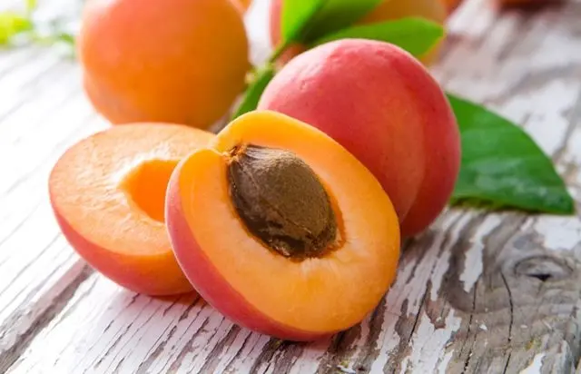 Apricot Favorite: description, photo, self-fertile or not, planting and care