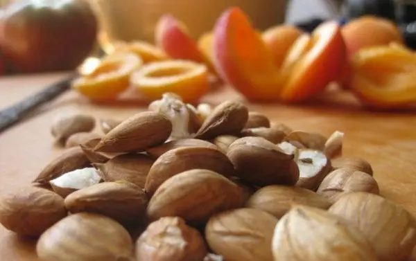 Apricot kernels: benefits and harms, contraindications, composition and calorie content + main areas of application of the product