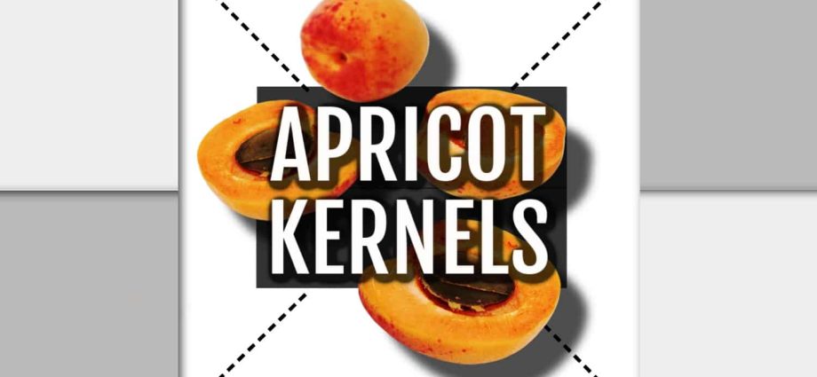 Apricot kernels: benefits and harms, contraindications, composition and calorie content + main areas of application of the product