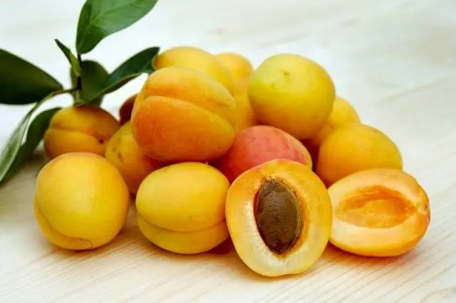 Apricot Royal