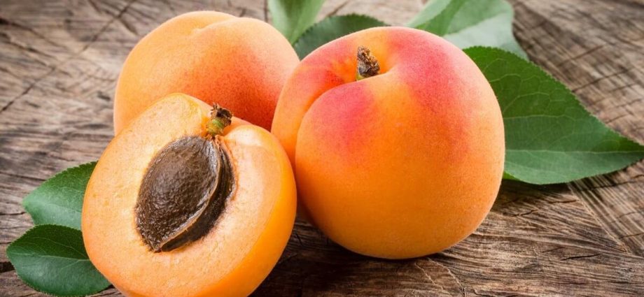 Apricot Shalah (Yerevani): description and characteristics of the variety