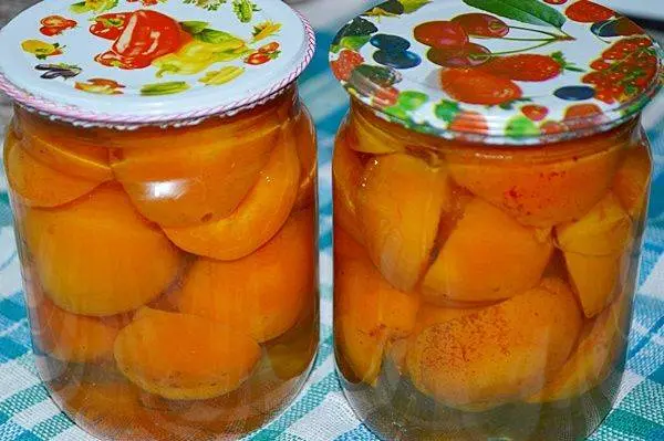 Apricot Syrup Recipes