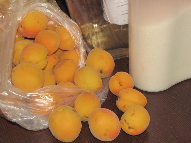 Apricot Syrup Recipes