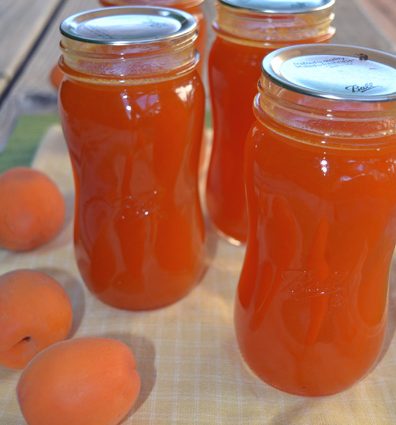 Apricot Syrup Recipes