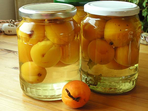 Apricot Syrup Recipes