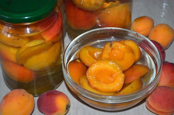 Apricot Syrup Recipes