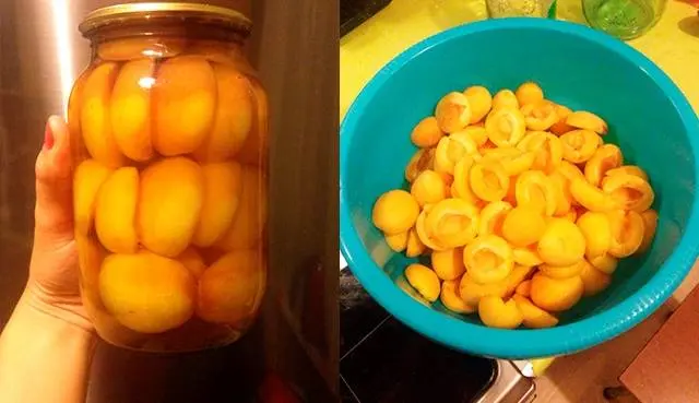 Apricot Syrup Recipes