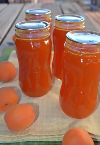 Apricot Syrup Recipes