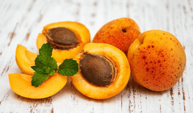 Apricot Ulyanikhinsky