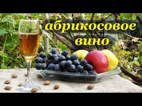 Apricot wine at home 