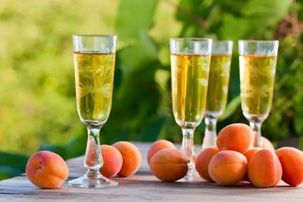 Apricot wine at home 