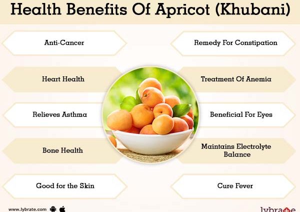 Apricots &#8211; properties, nutritional values. Apricots in the diet [WE EXPLAIN]