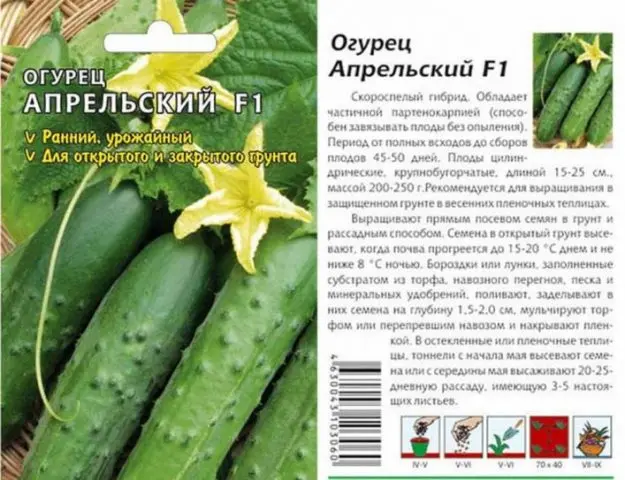 April Cucumbers: reviews, photos, description