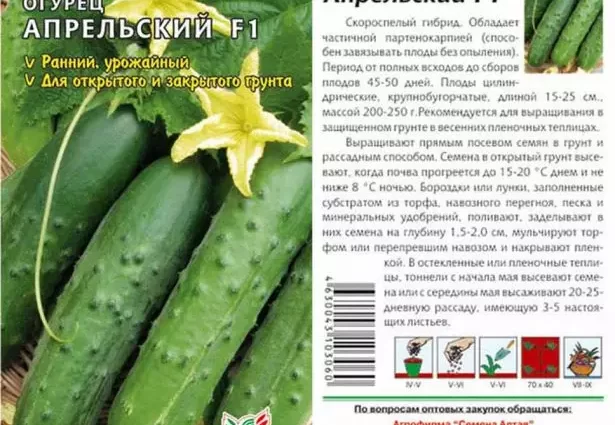 April Cucumbers: reviews, photos, description