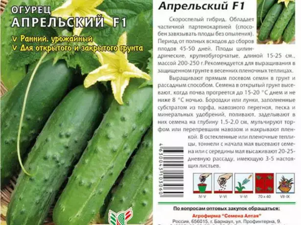 April Cucumbers: reviews, photos, description